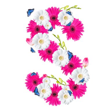 Alfabe, üzerinde beyaz izole çiçek