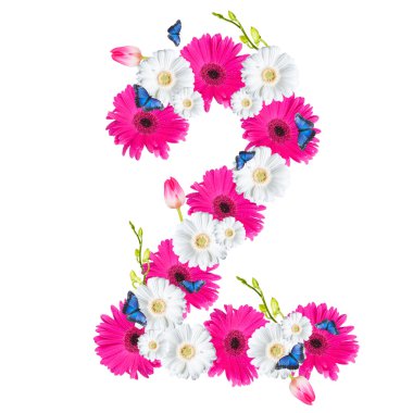 Beyaz arka plan üzerinde izole sayı, çiçek