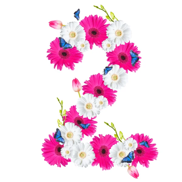 Number, flower isolated on white background — Stock Photo, Image