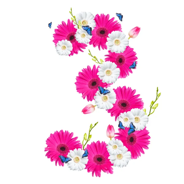 Nummer, bloem geïsoleerd op witte achtergrond — Stockfoto