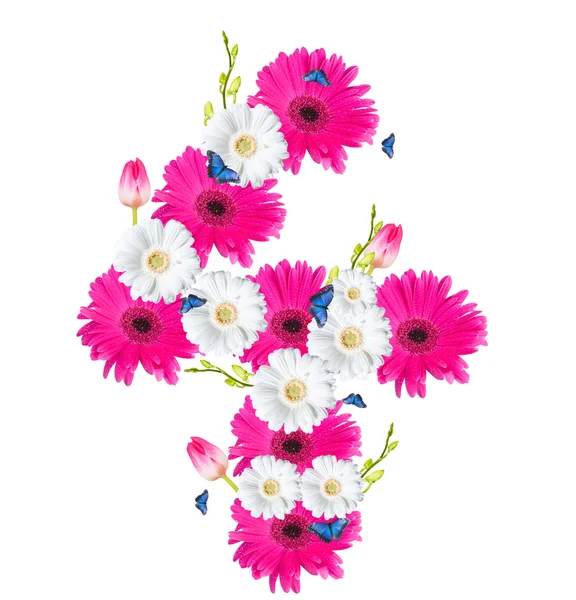 Número, flor isolada sobre fundo branco — Fotografia de Stock