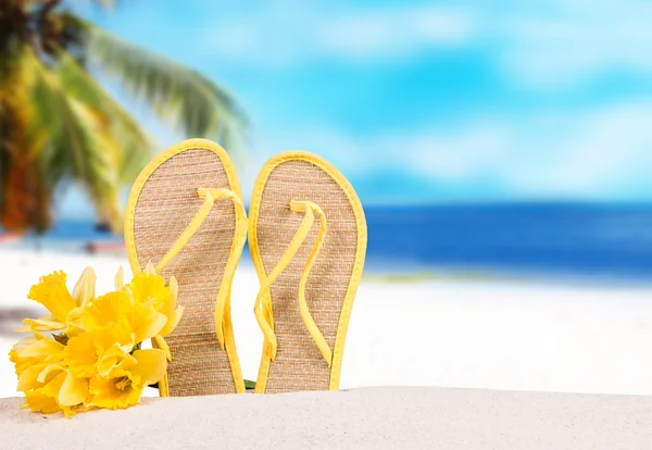 Concepto de verano, chanclas —  Fotos de Stock