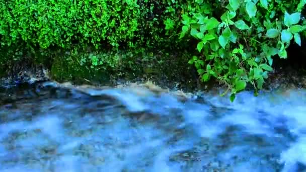 Agua corriendo hacia una zanja de riego — Vídeos de Stock