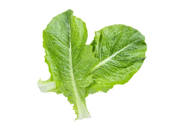 Top View Fresh Raw Green Romaine Lettuce Leaves Salad Isolated — Stock Photo, Image