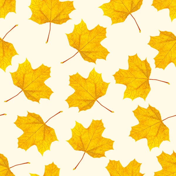 Top View Flat Lay Autumnal Leaves Repeat Seamless Pattern Light — Stock Photo, Image