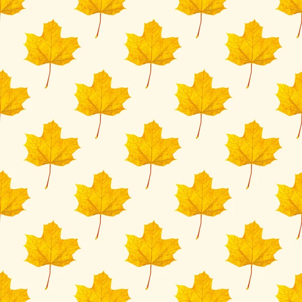 Top View Flat Lay Autumnal Leaves Repeat Seamless Pattern Light — Stock Photo, Image
