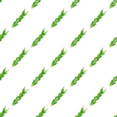Fresh green rosemary leaves, twigs and branches seamless pattern on white background.