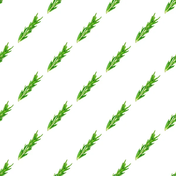 Fresh Green Rosemary Leaves Twigs Branches Seamless Pattern White Background — ストック写真