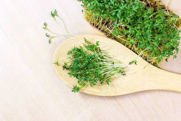Fresh Growing Micro Greens Young Watercress Salad Wooden Spoon Light — Stock Photo, Image
