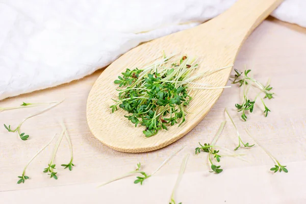 Fresh Growing Micro Greens Young Watercress Salad Wooden Spoon Light — Stock Photo, Image