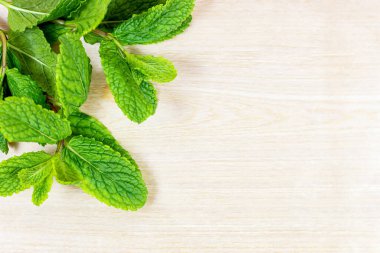 Taze yeşil nane yapraklarının üst görünümü açık ahşap zemin üzerinde kopyalama alanı olan bir çerçeve gibi.