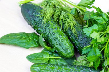 Taze yeşil yaz salatalıkları ve sebze bahçesinden gelen otlar mutfakta hafif arka planda..