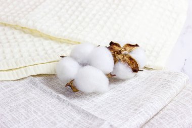 Hafif tekstil zemininde beyaz kuru pamuk çiçekleri.