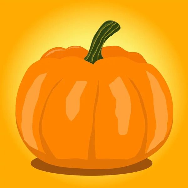 Hösten Halloween Pumpa Eller Squash Orange Bakgrund Vektorillustration — Stock vektor