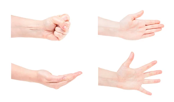 Caucasian Woman Hands Gestures Set Isolated White Background — Stock Photo, Image