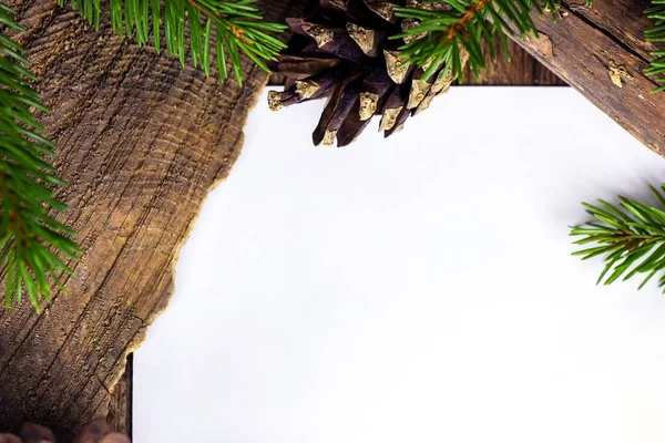 평면을 틀로서 솔방울 전나무 — 스톡 사진