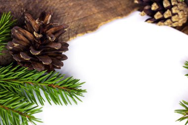 Doğal yeşil köknar dalları iğne ve çam kozalakları düz metin için beyaz kopya alanı ile bir çerçeve olarak yatıyordu.