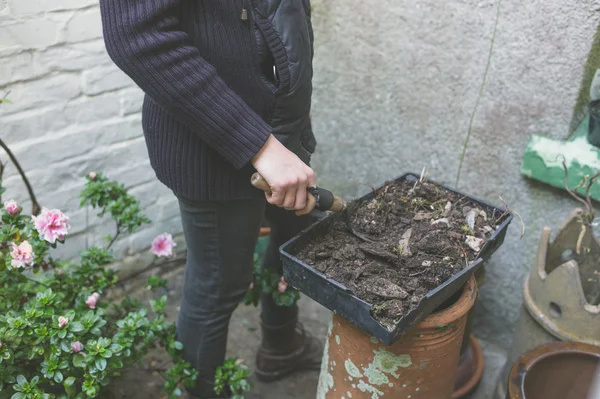 Jardinería de mujer en el patio trasero — Foto de Stock