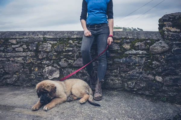 Woman by wall with Leonberger puppy — Stock Photo, Image