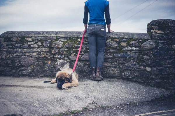 Woman by wall with Leonberger puppy — Stock Photo, Image