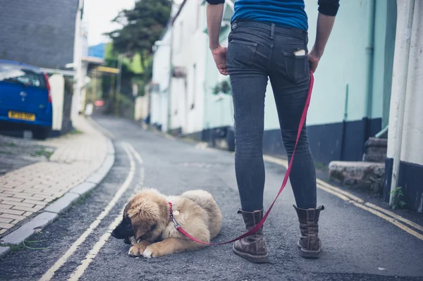 Young woman in street with Leonberger puppy — Stock Photo, Image