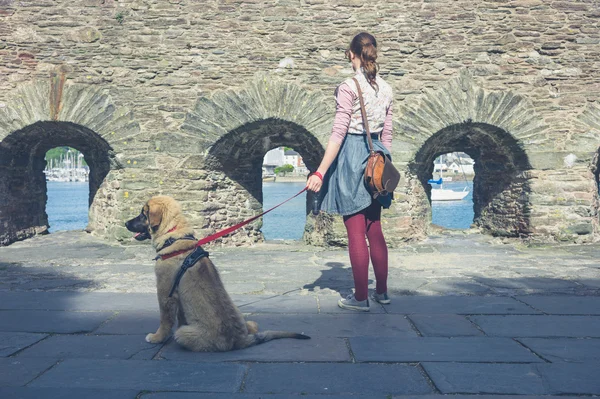 Uma Jovem Está Andando Filhote Cachorro Leonberger Perto Uma Parede — Fotografia de Stock