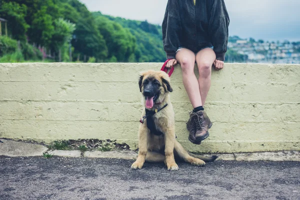 Ung Kvinna Sitter Vägg Och Vilar Med Sin Hund — Stockfoto