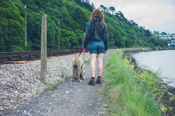 Young Woman Walking Leonberger Puppy Some Railroad Tracks — Stock Photo, Image