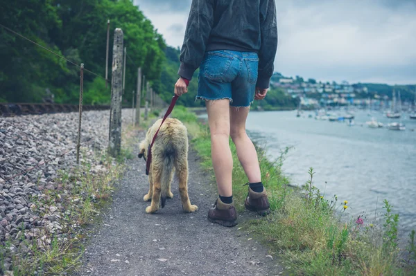 Young Woman Walking Leonberger Puppy Some Railroad Tracks — Stock Photo, Image