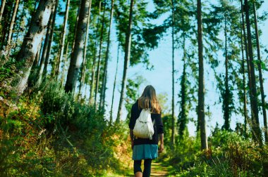 Genç bir kadın güneşli bir sonbahar gününde ormanda yürüyor.