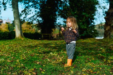 Küçük bir anaokulu öğrencisi güneşli bir sonbahar gününde ormanda oynuyor.