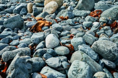 Güneşli bir günde kumsalda taşlar                    