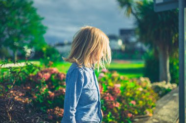 Güneşli bir günde küçük bir preshooler sokakta dikiliyor.