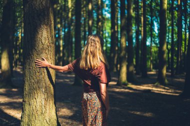 Genç bir kadın güneşli bir günde ormanda bir ağaca dokunuyor.