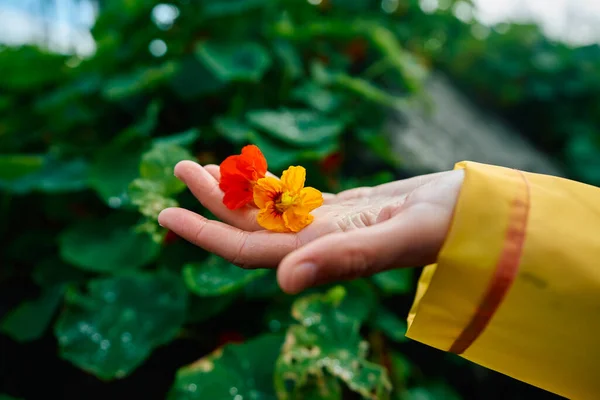雨の中で花を持つ若い女性の手 — ストック写真