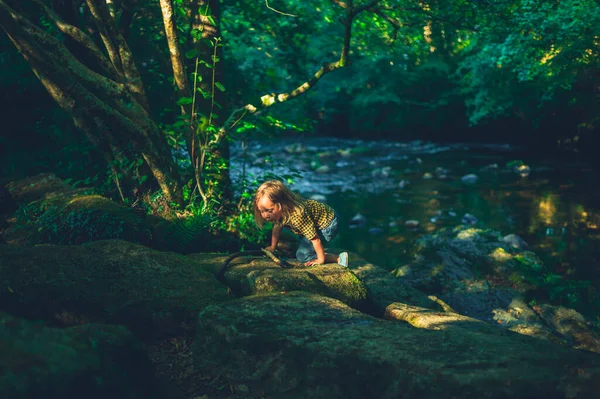 Niño Edad Preescolar Está Jugando Junto Arroyo Bosque Atardecer —  Fotos de Stock