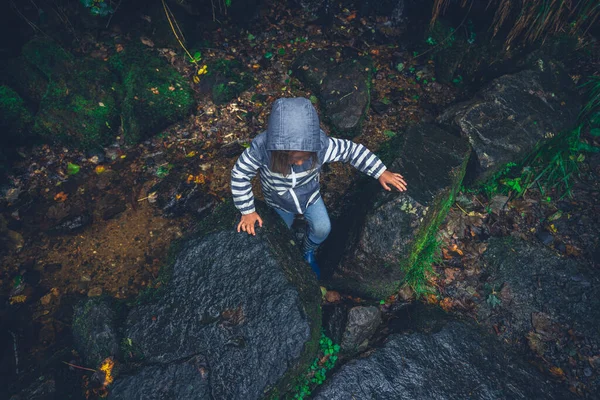 Malá Školačka Pláštěnce Prochází Lesem — Stock fotografie