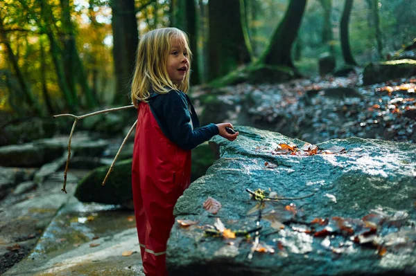 Pouco Pré Escolar Roupas Impermeáveis Está Brincando Floresta Dia Ensolarado — Fotografia de Stock