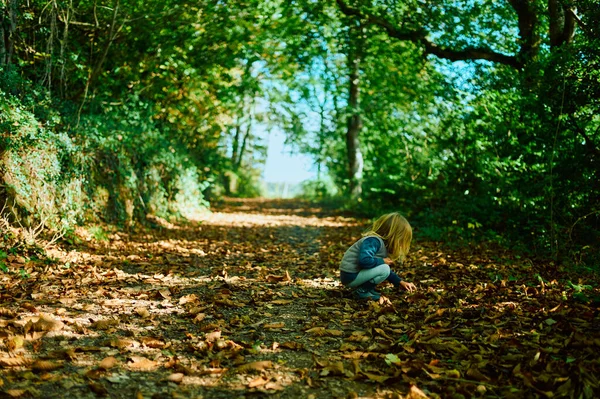 Pouco Pré Escolar Está Brincando Floresta Dia Ensolarado Outono — Fotografia de Stock