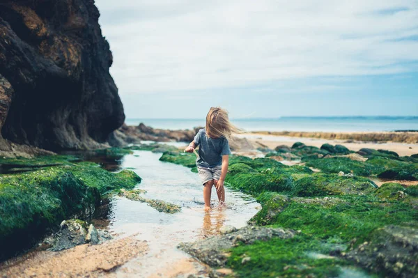 小さな未就学児がビーチの岩のプールで遊んでいます — ストック写真