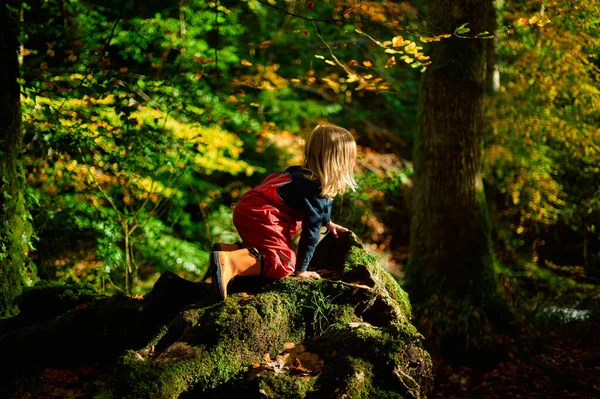 Pouco Pré Escolar Roupas Impermeáveis Está Brincando Floresta Dia Ensolarado — Fotografia de Stock