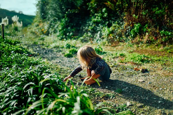 Pouco Pré Escolar Está Sentado Chão Natureza Dia Ensolarado Outono — Fotografia de Stock