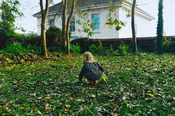 Een Kleine Kleuter Speelt Een Tuin Een Zonnige Herfstdag — Stockfoto