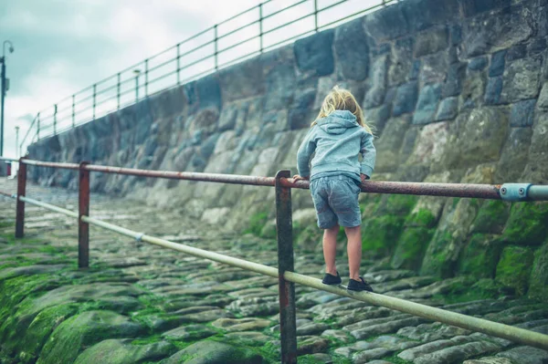 Malá Školačka Hraje Podzim Zábradlí Pláži — Stock fotografie