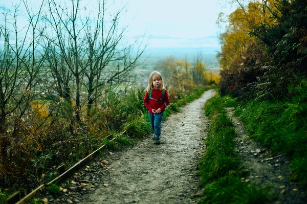 小さな未就学児が秋の日に森の中を歩いています — ストック写真
