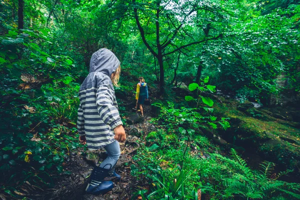 Pré Escolar Está Andando Floresta Com Sua Mãe Dia Chuvoso — Fotografia de Stock