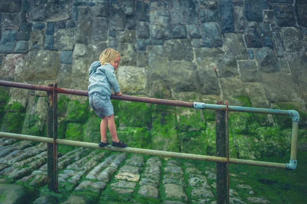 Niño Edad Preescolar Está Jugando Junto Una Barandilla Playa Otoño —  Fotos de Stock