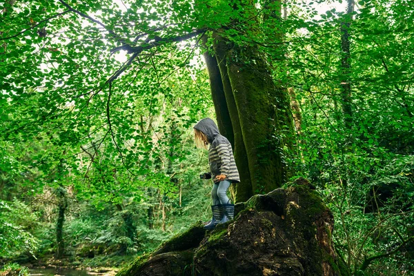 Pouco Pré Escolar Vestindo Uma Capa Chuva Está Explorando Floresta — Fotografia de Stock