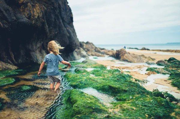 Niño Edad Preescolar Está Jugando Piscinas Roca Playa — Foto de Stock