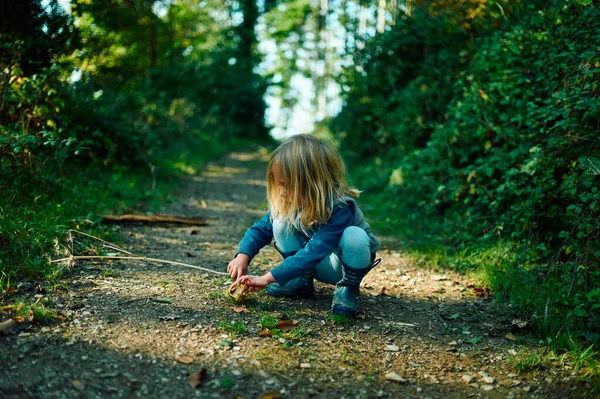 Niño Edad Preescolar Está Jugando Bosque Día Soleado Otoño — Foto de Stock